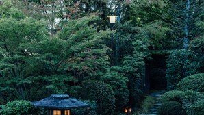 A stone pathway leading through a lush garden with a lantern and a traditional Japanese structure.