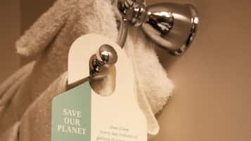 Chambre Standard, 1 grand lit | Ăquipements de la chambre