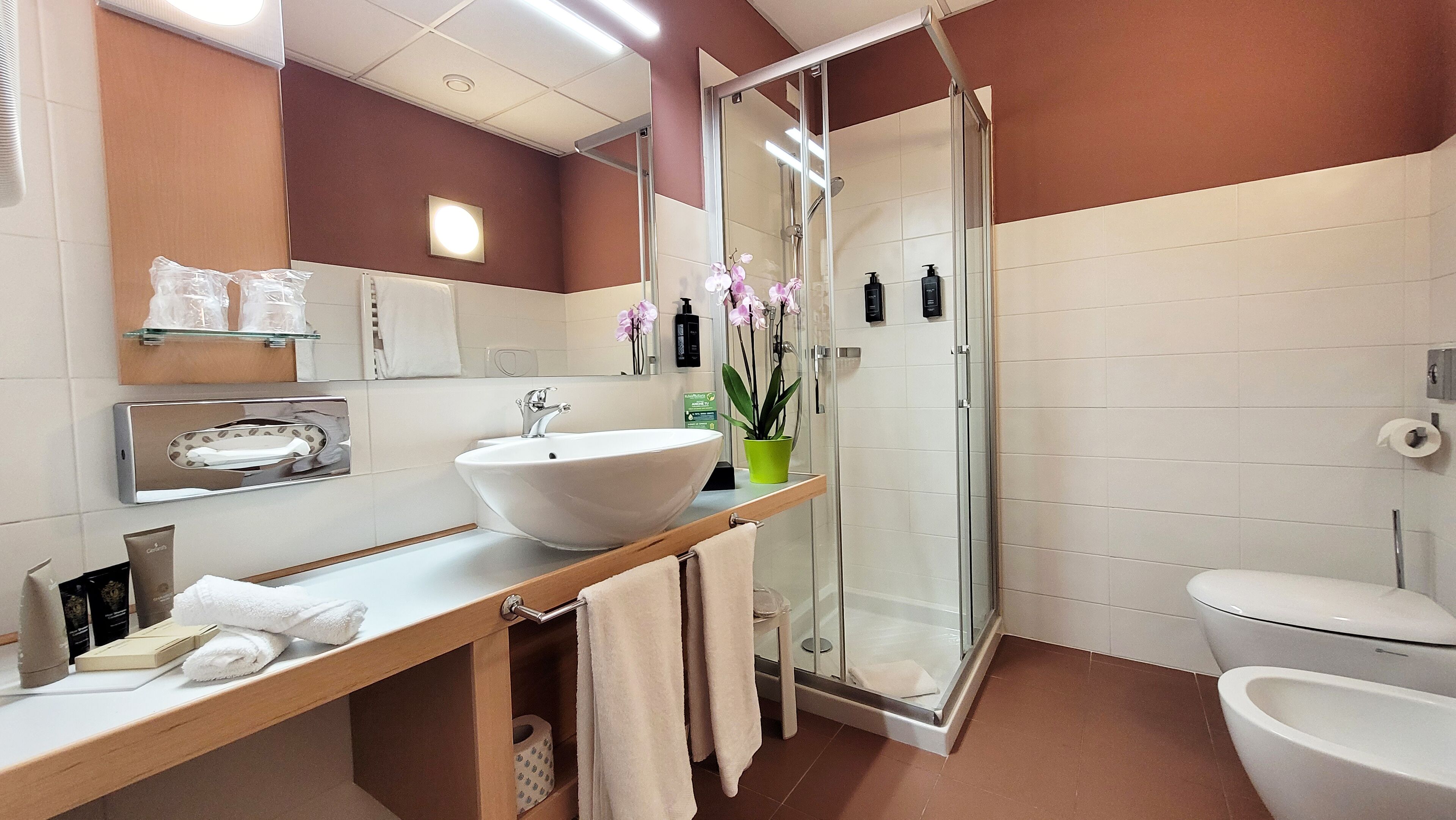 shower, eco-friendly toiletries, hair dryer, bidet