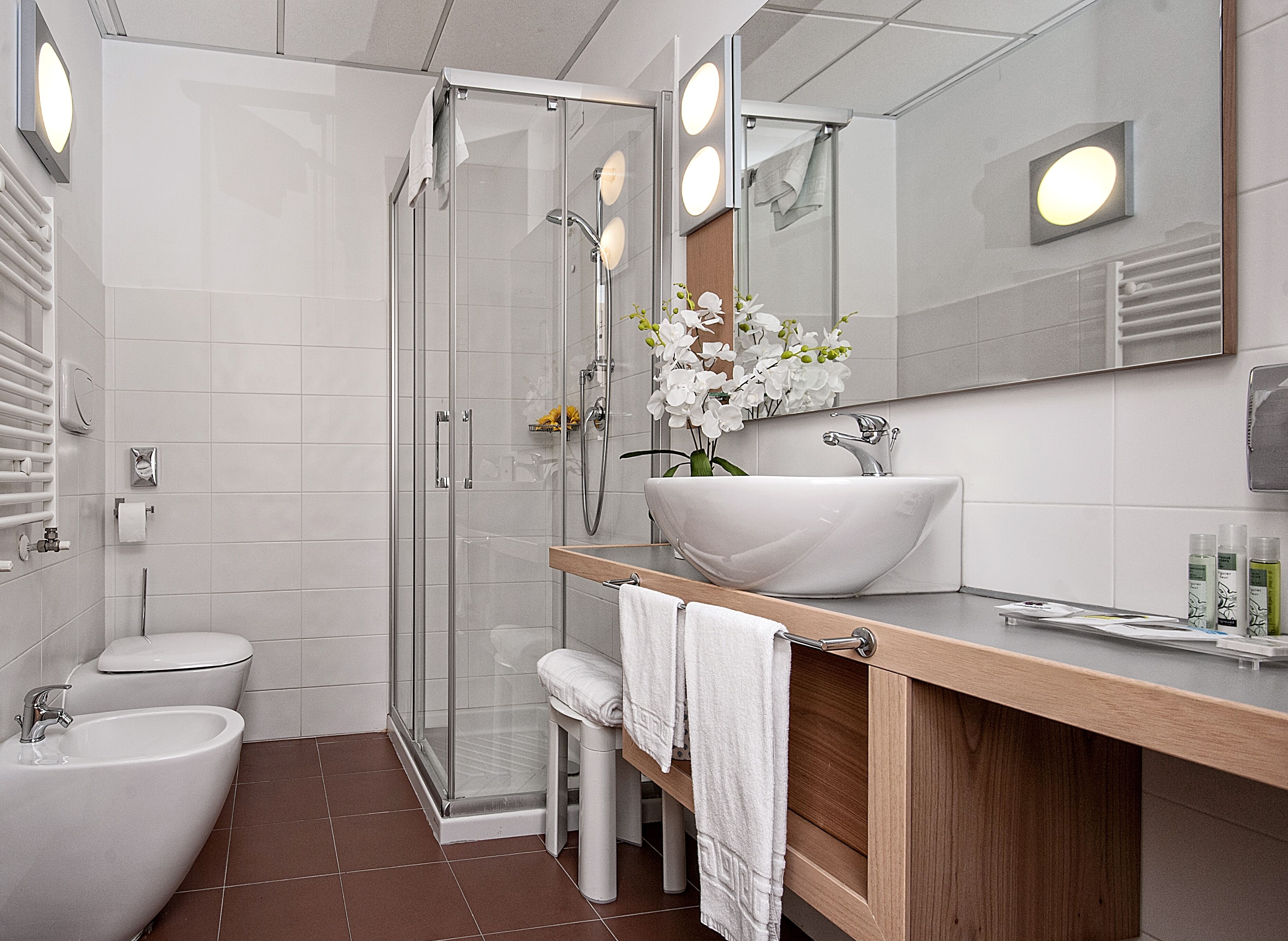 shower, eco-friendly toiletries, hair dryer, bidet