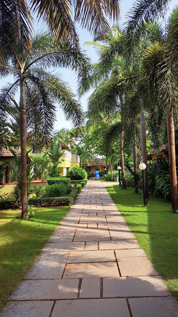 Garden - Novotel Goa Dona Sylvia Resort (Cavelossim)