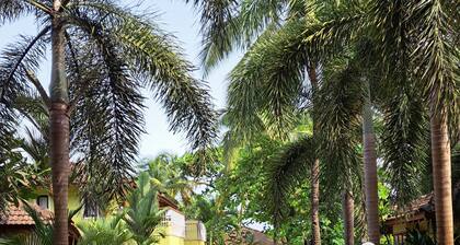 Novotel Goa Dona Sylvia Resort