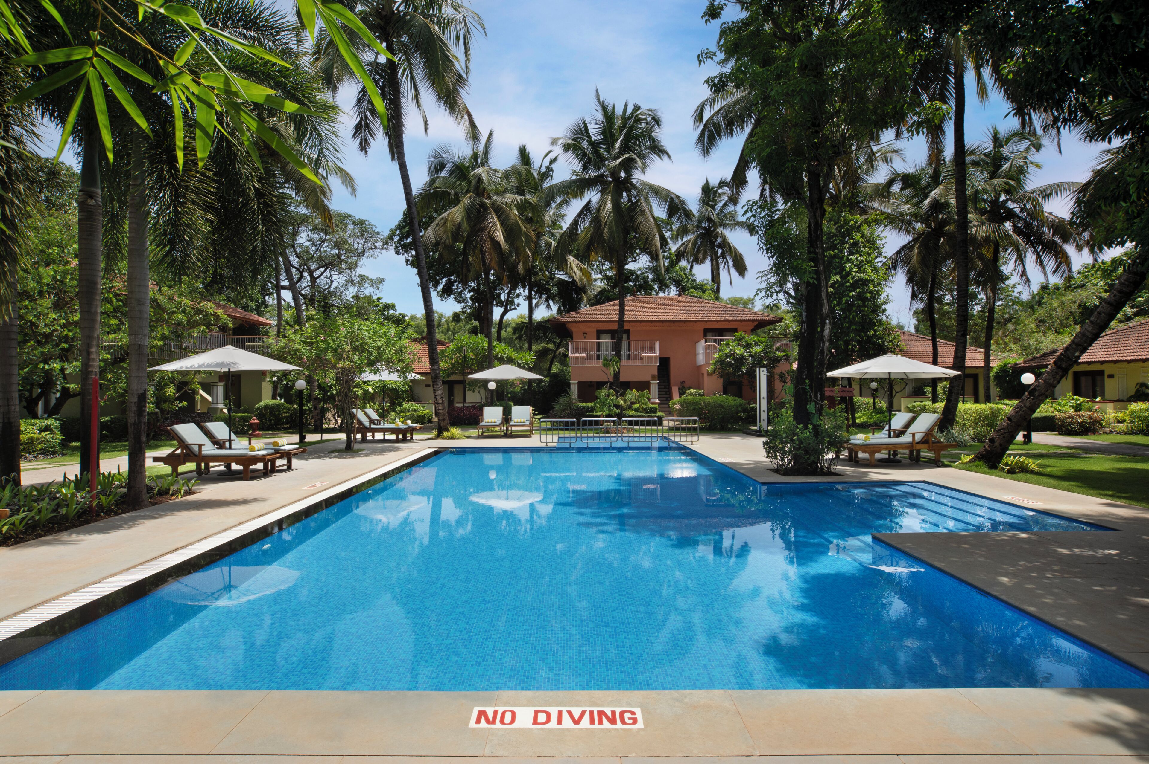 Outdoor pool, open 7 AM to 7 PM, pool umbrellas, sun loungers