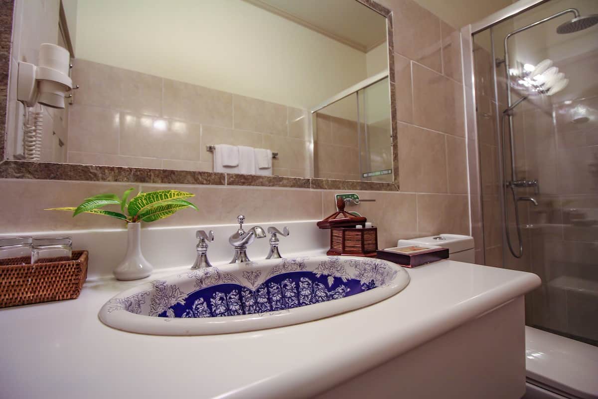 shower, hydromassage showerhead, free toiletries, hair dryer