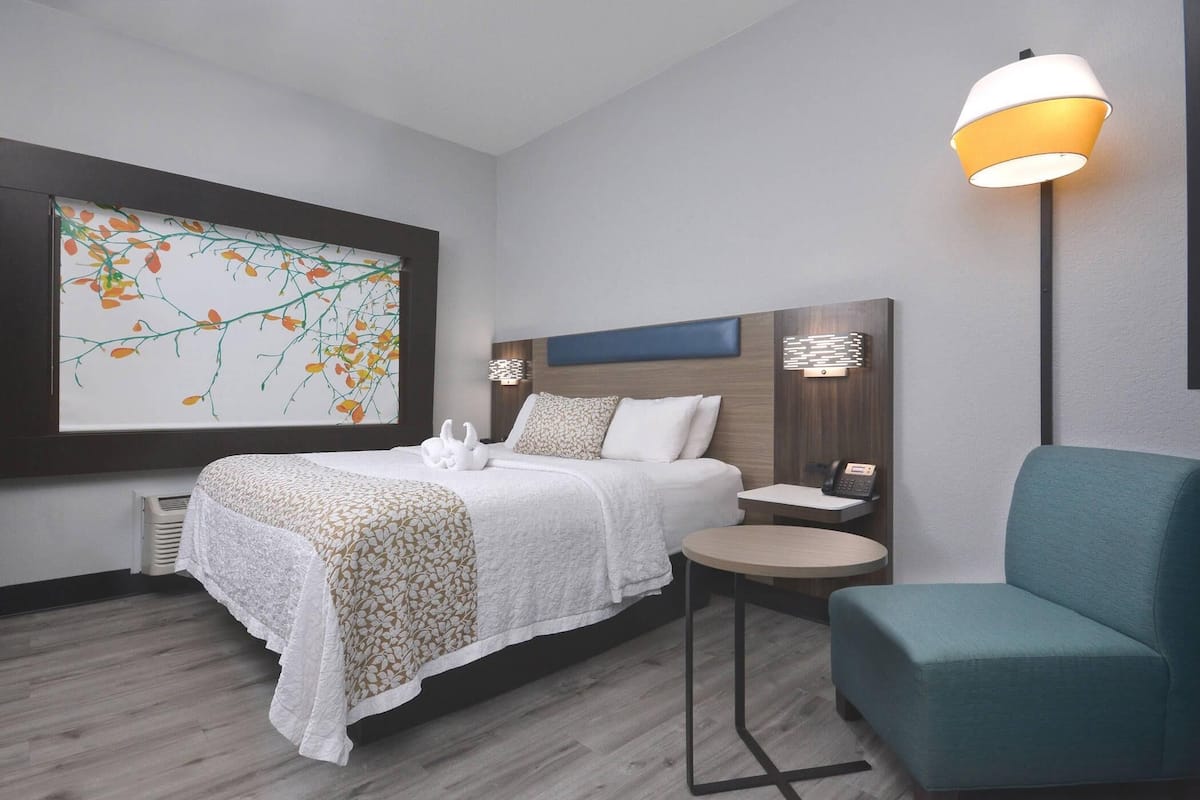 Kamer, 1 kingsize bed, toegankelijk voor mindervaliden, niet-roken | Donzen dekbedden, Tempur Pedic-bedden, individueel gedecoreerd