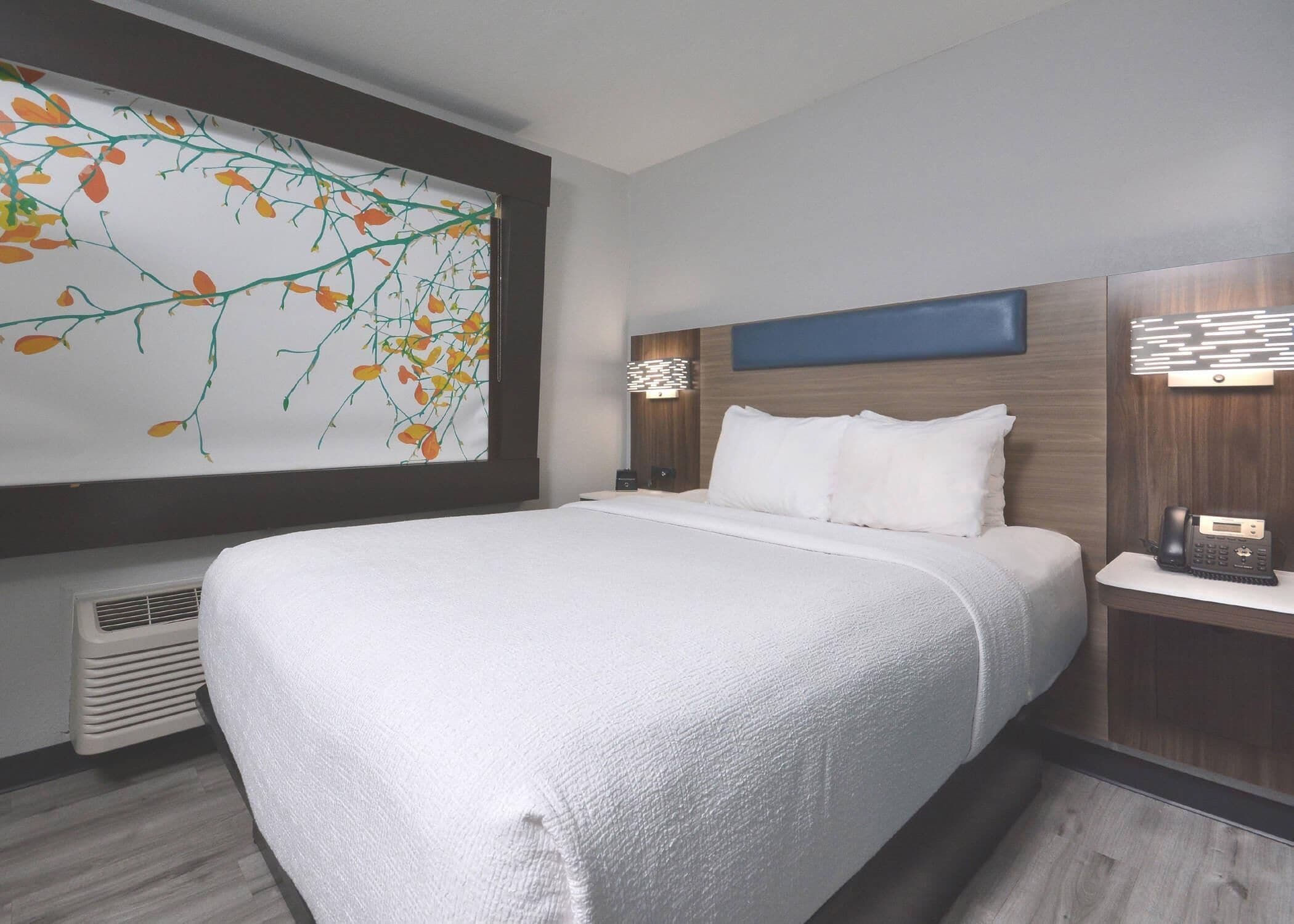 A hotel room with a large bed, a nightstand with a phone, a wall-mounted lamp, and a large window with a leaf pattern.