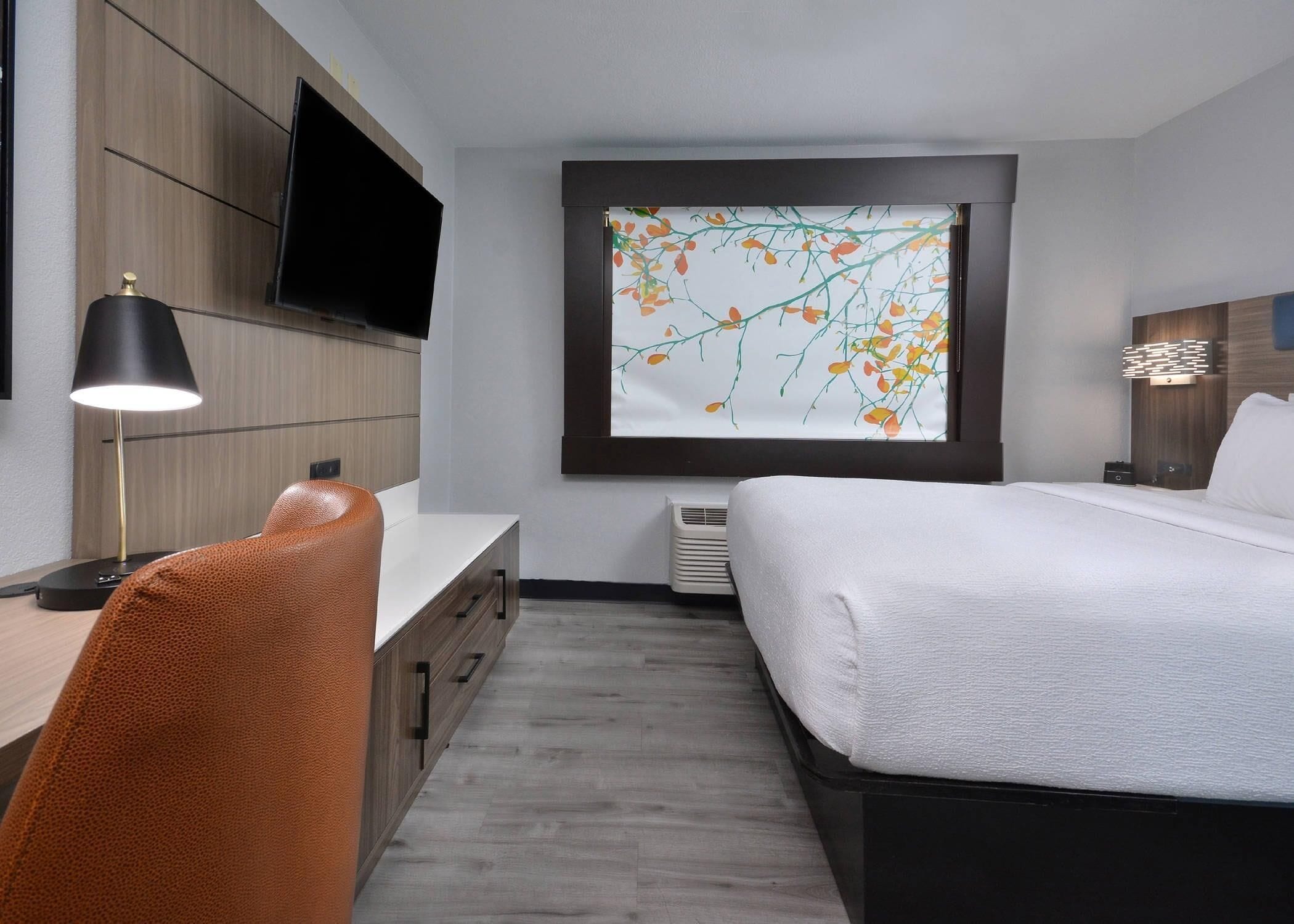 A hotel room with a bed, desk, chair, TV, and a window with a view of branches and leaves.