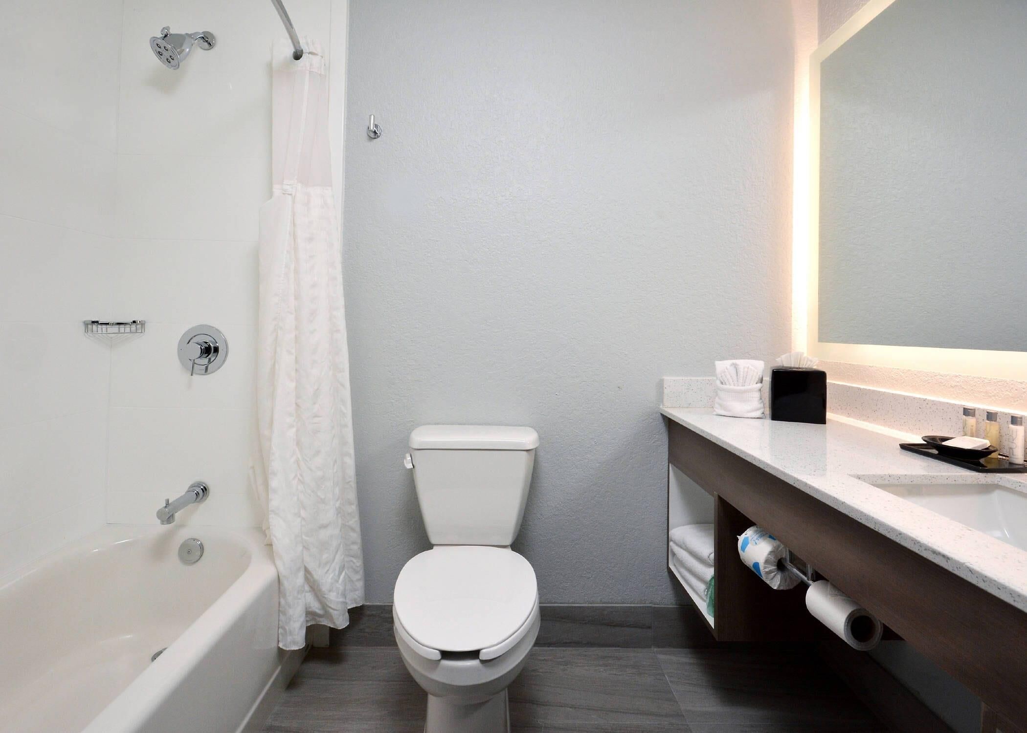 A modern bathroom with a white toilet, a bathtub, a shower, and a vanity with a mirror.