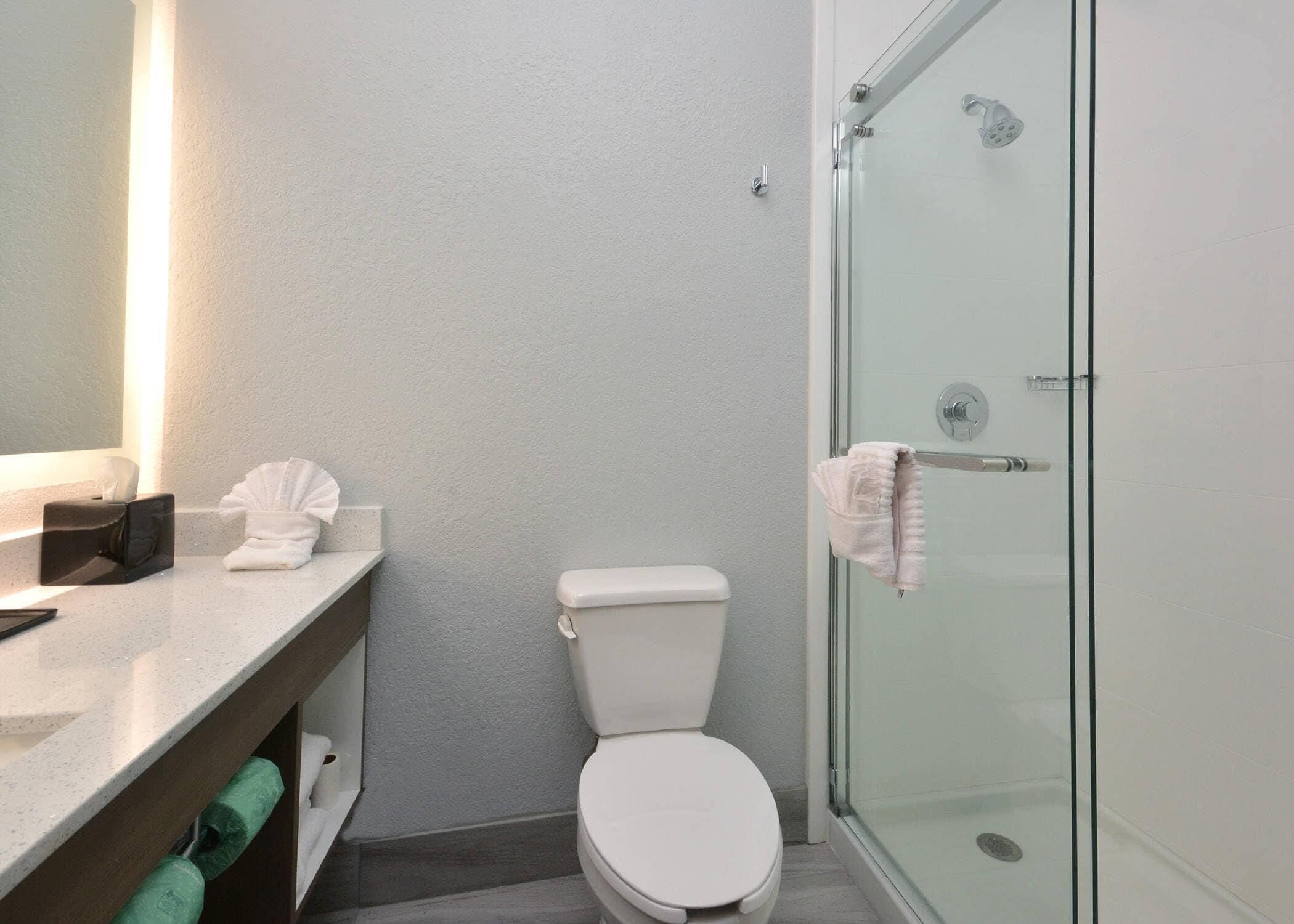 A bathroom with a toilet, a glass shower enclosure, and a vanity with a mirror.