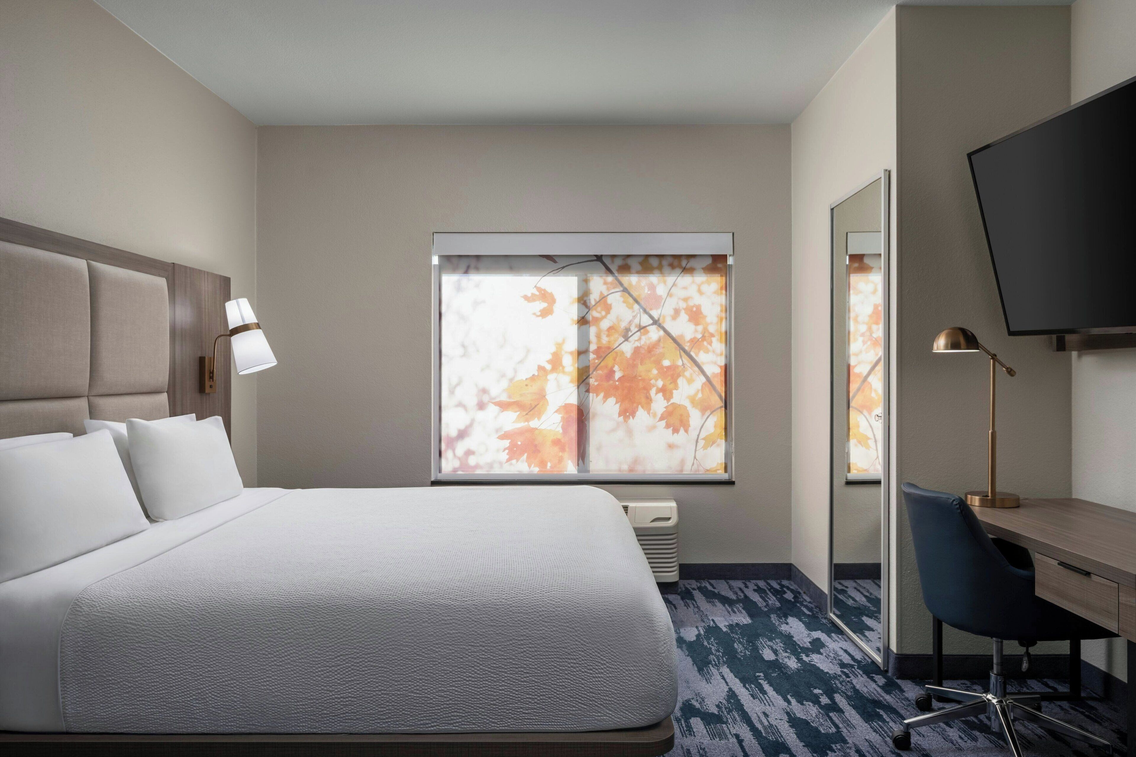 Habitación de hotel con una cama grande, un escritorio, una silla, un televisor y una ventana con hojas de otoño.