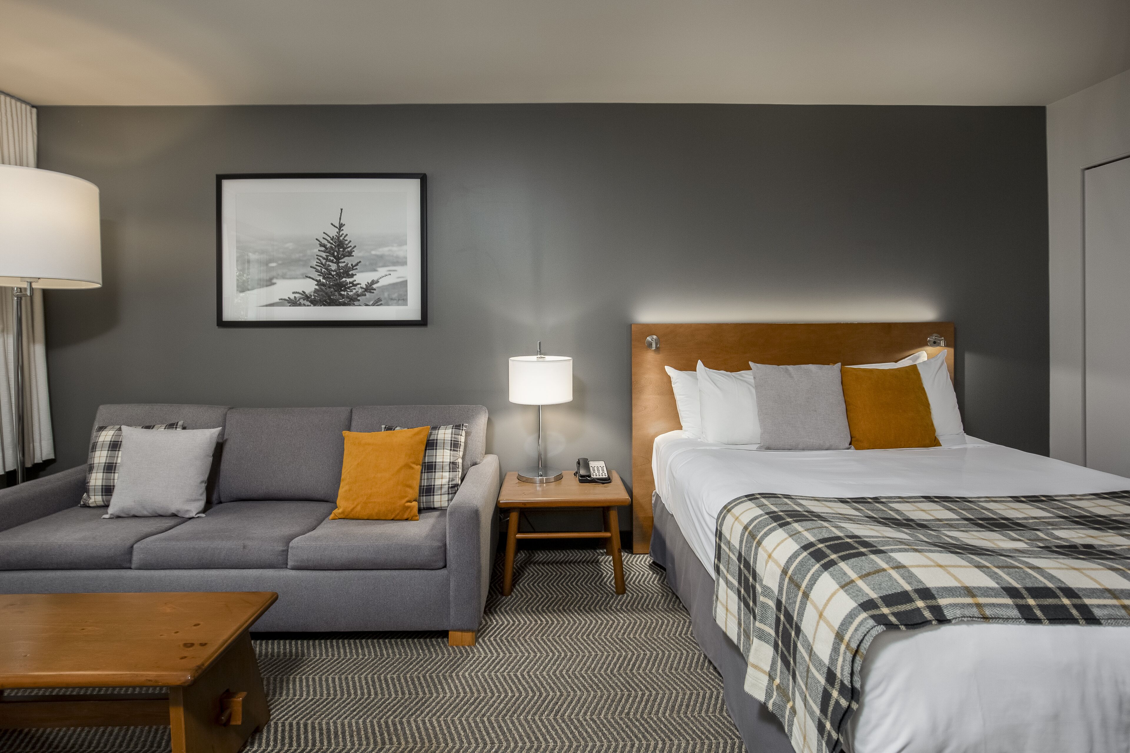 iron/ironing board, free cots/infant beds, rollaway beds, free wifi