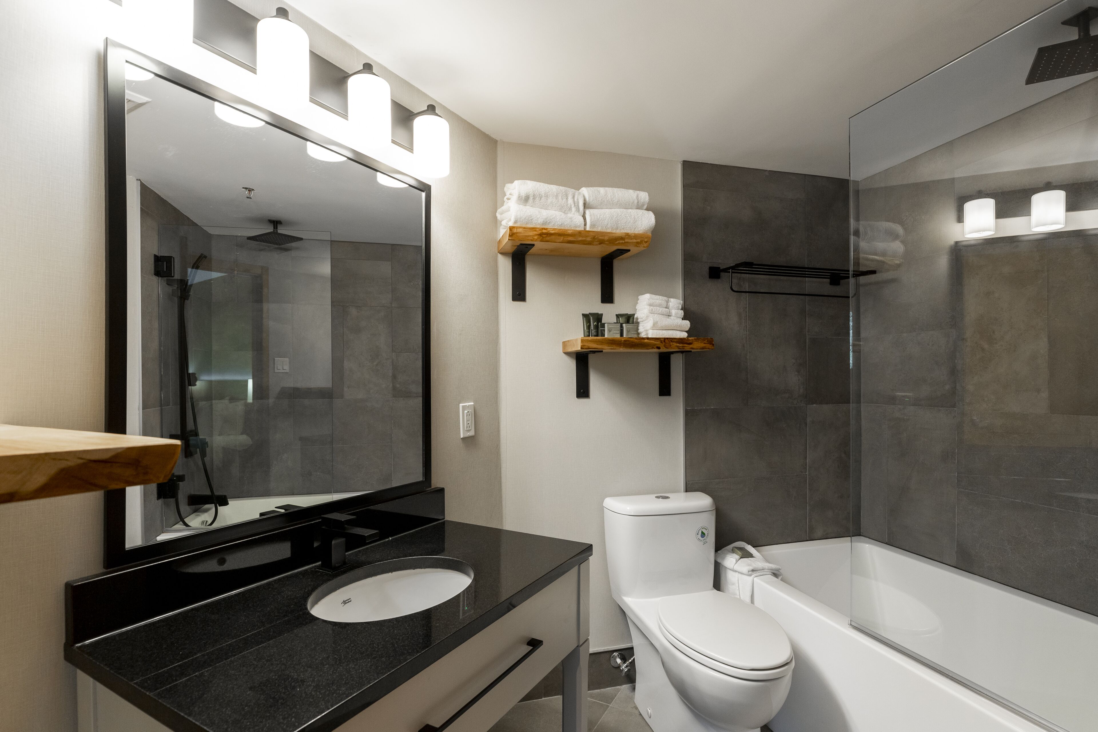 combined shower/bathtub, free toiletries, hair dryer, towels