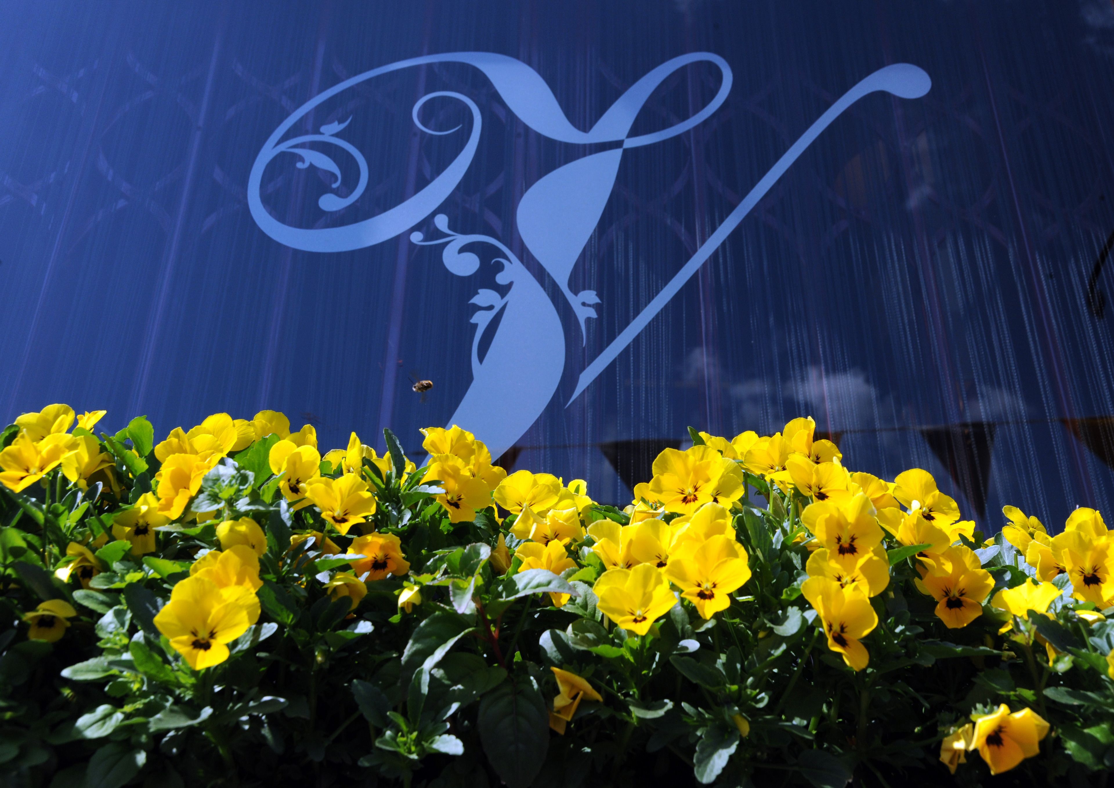 Foto - Velvet Hotel Manchester, WorldHotels Crafted