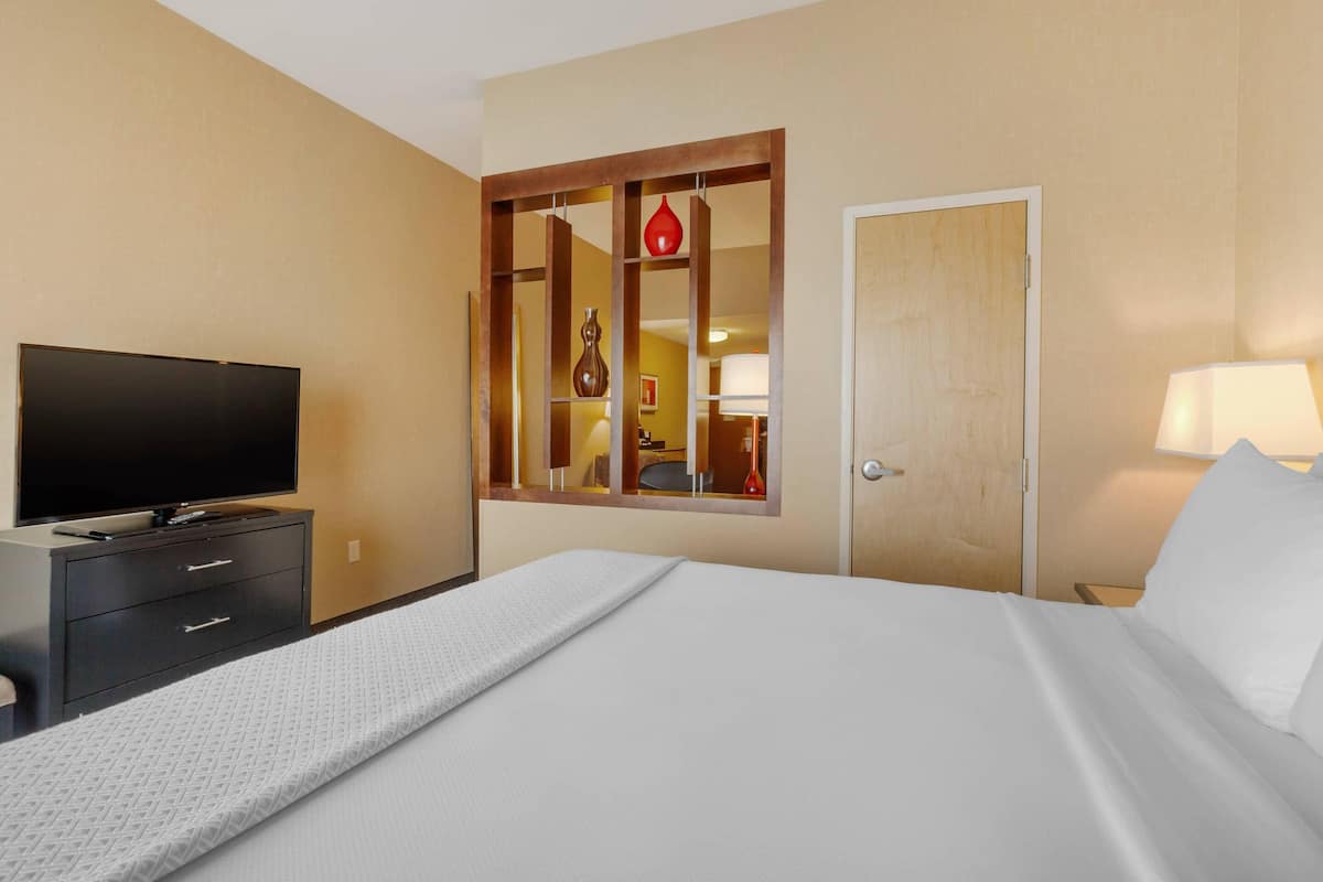 Una habitación de hotel con cama, televisor en una cómoda, espejo y puerta.