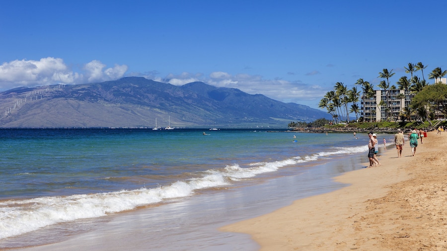 Maui Banyan - Maui Condo & Home