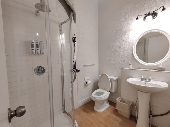 Un baño con ducha de mampara de vidrio, un inodoro y un lavabo con espejo.