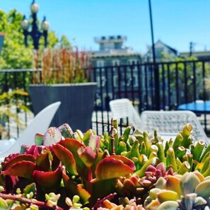 A potted succulent plant on a balcony with a metal railing and a chair in the background. - Becks Motor Lodge (San Francisco)