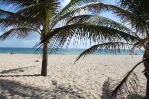 A beach with palm trees and the ocean in the background. - Castle by the Sea (Lauderdale-by-the-Sea)