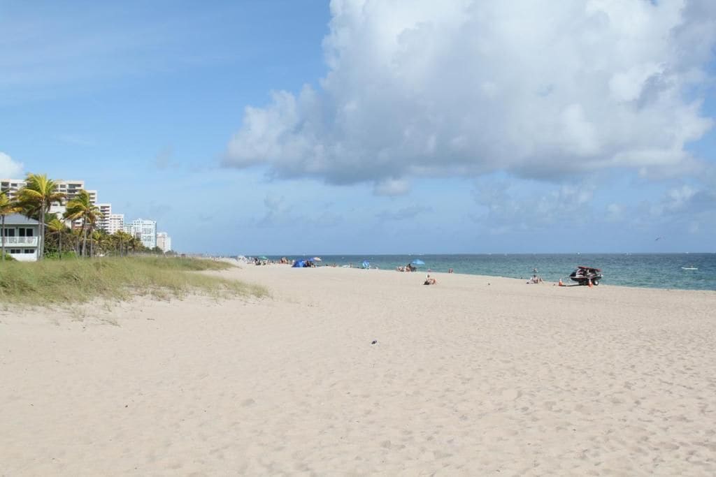 A sandy beach with buildings and palm trees in the background.