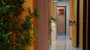 A hallway with a potted plant, a door with a handle, and a tiled floor. - Ferrari (Rome)