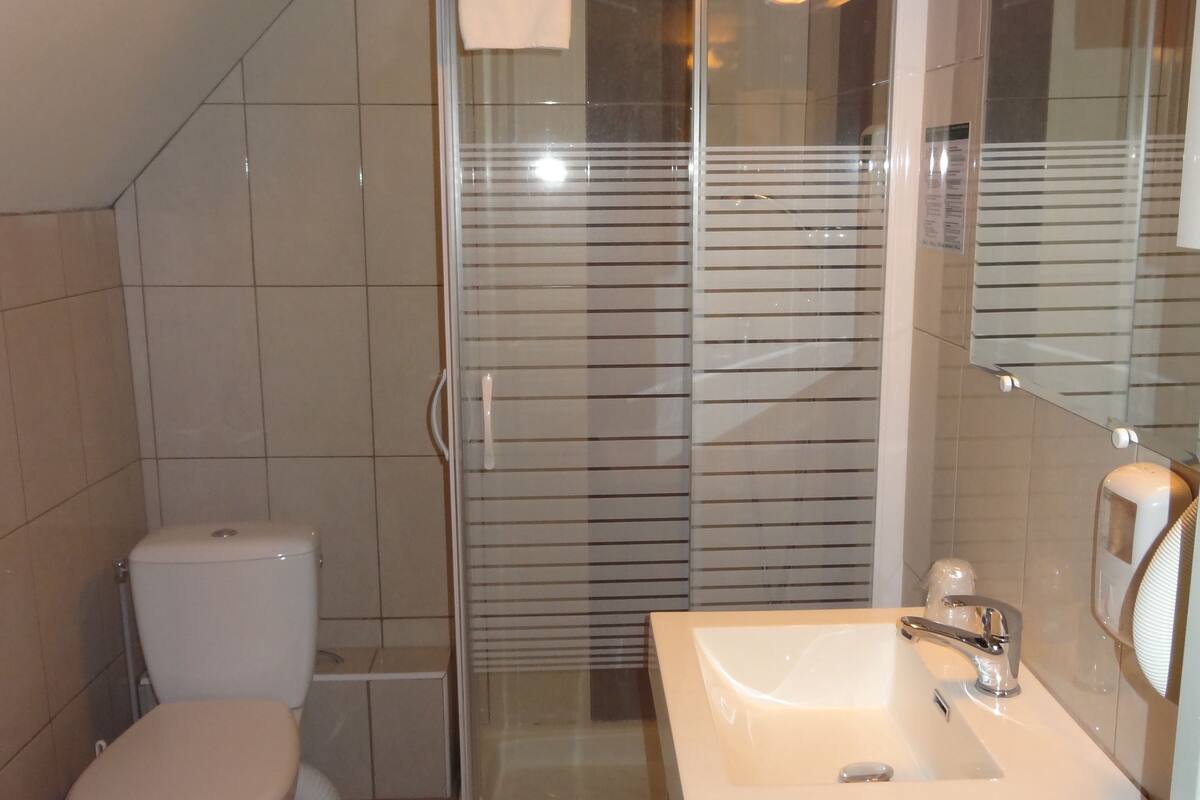 standard double room | bathroom shower
