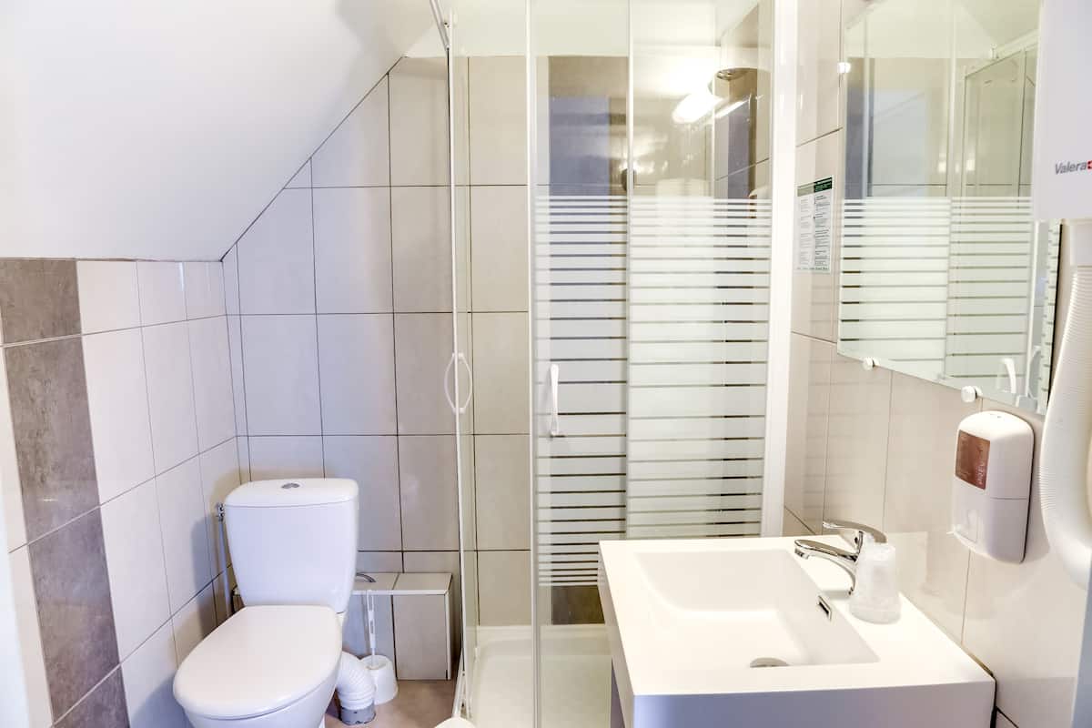 shower, free toiletries, hair dryer, towels