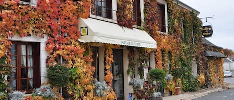 A building with ivy-covered walls and a white awning.