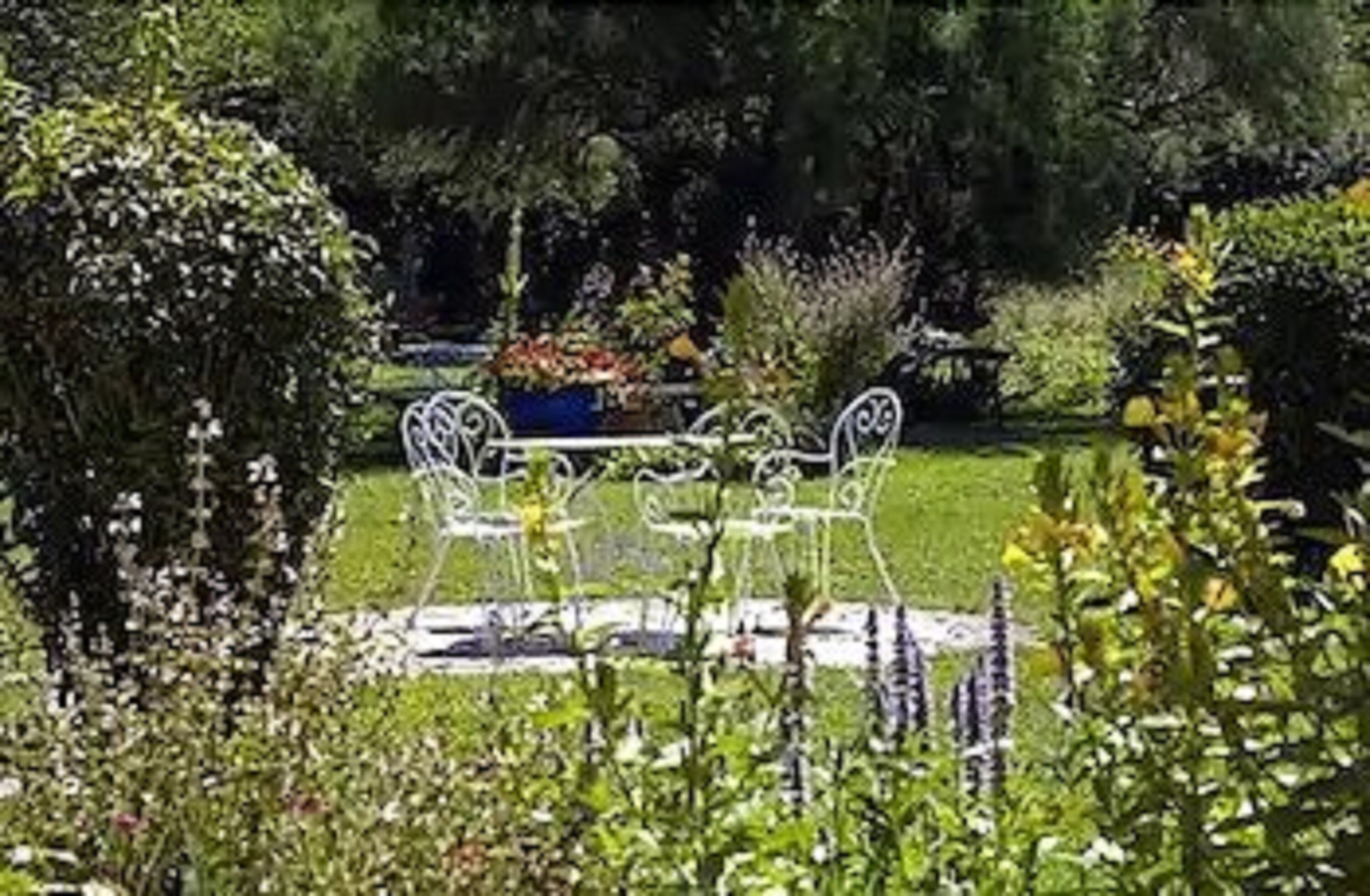 Um jardim com mesa e cadeiras de metal, rodeado por diversas plantas e árvores.