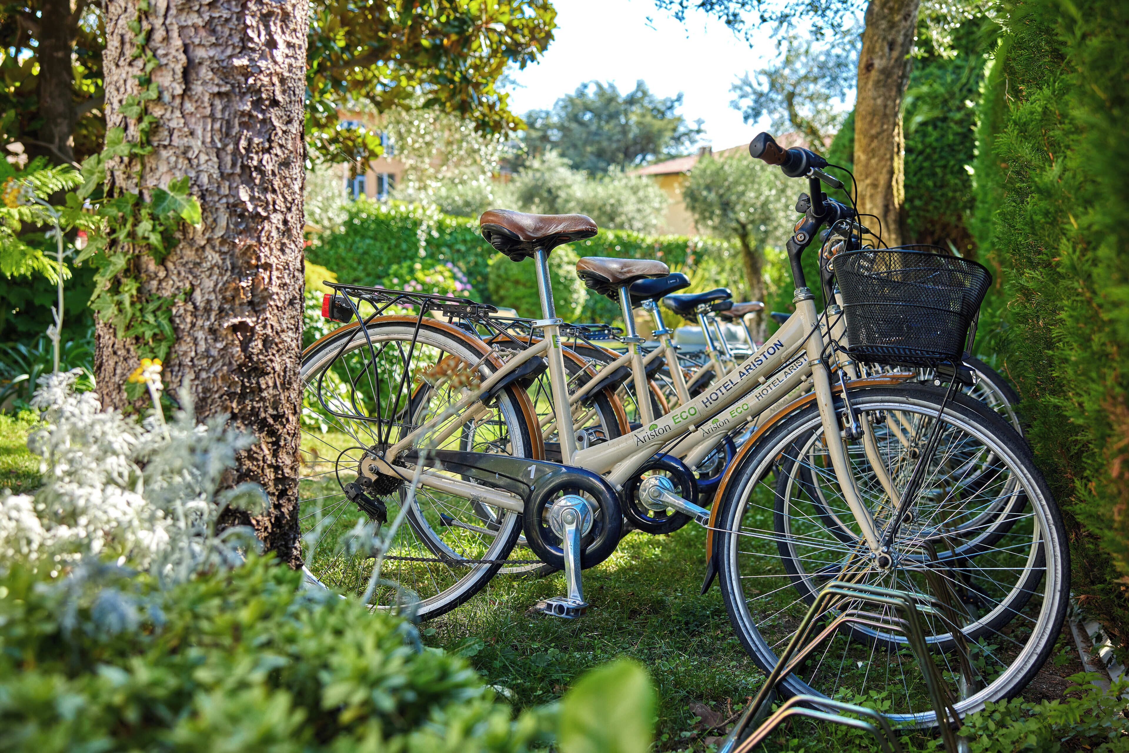 Foto - Eco Hotel Ariston