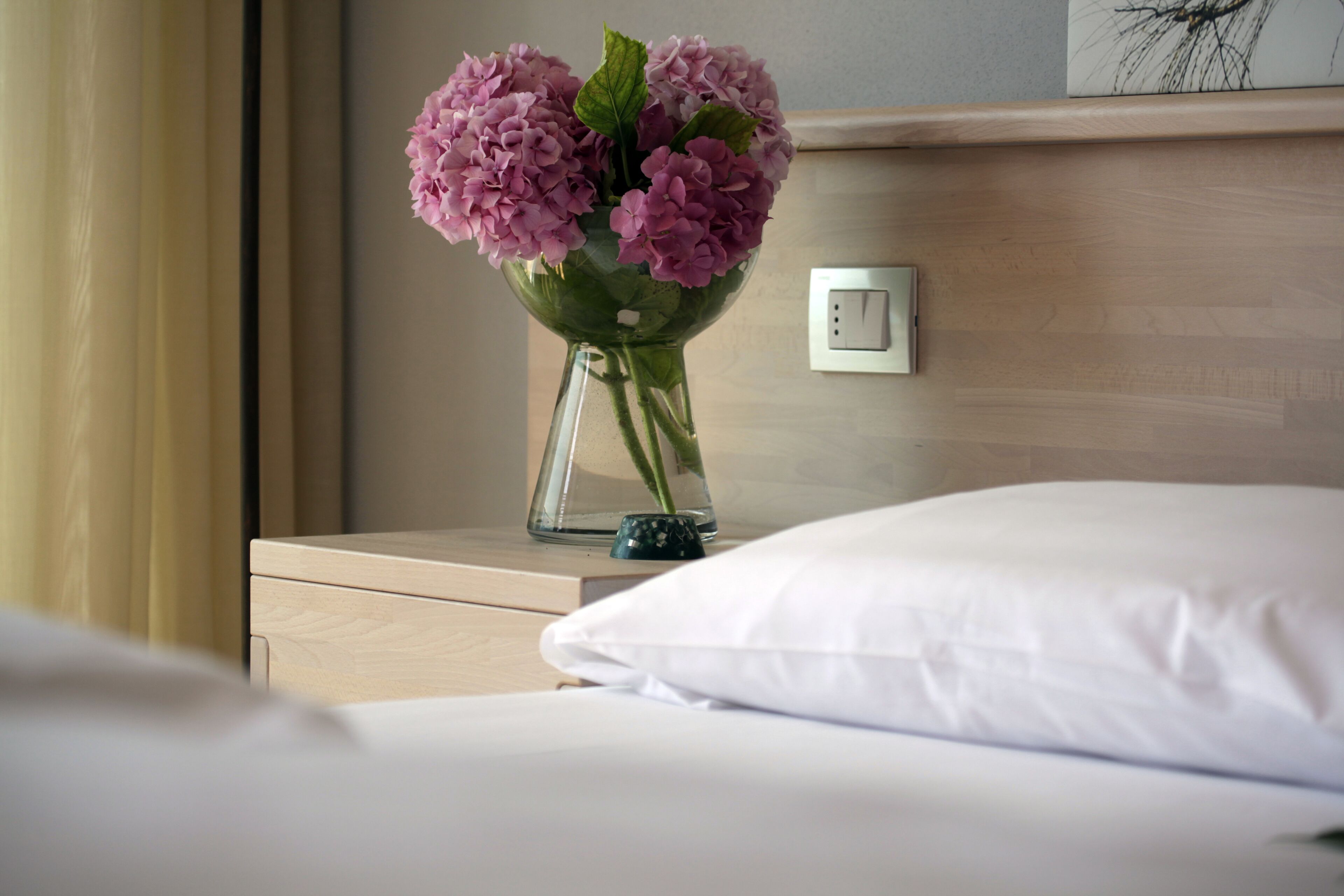 Foto - Eco Hotel Ariston