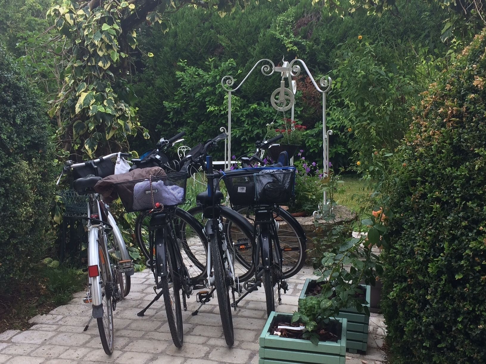 Bicycles parked on a paved path in a garden with greenery and a metal structure in the background.