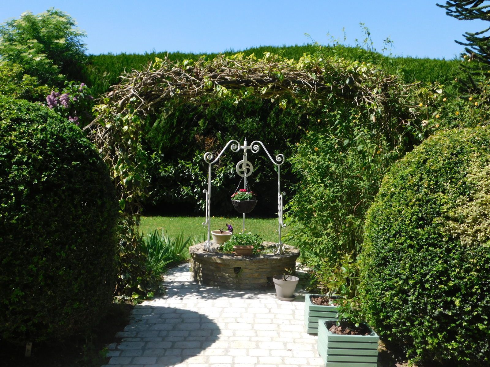 Quang cảnh vườn