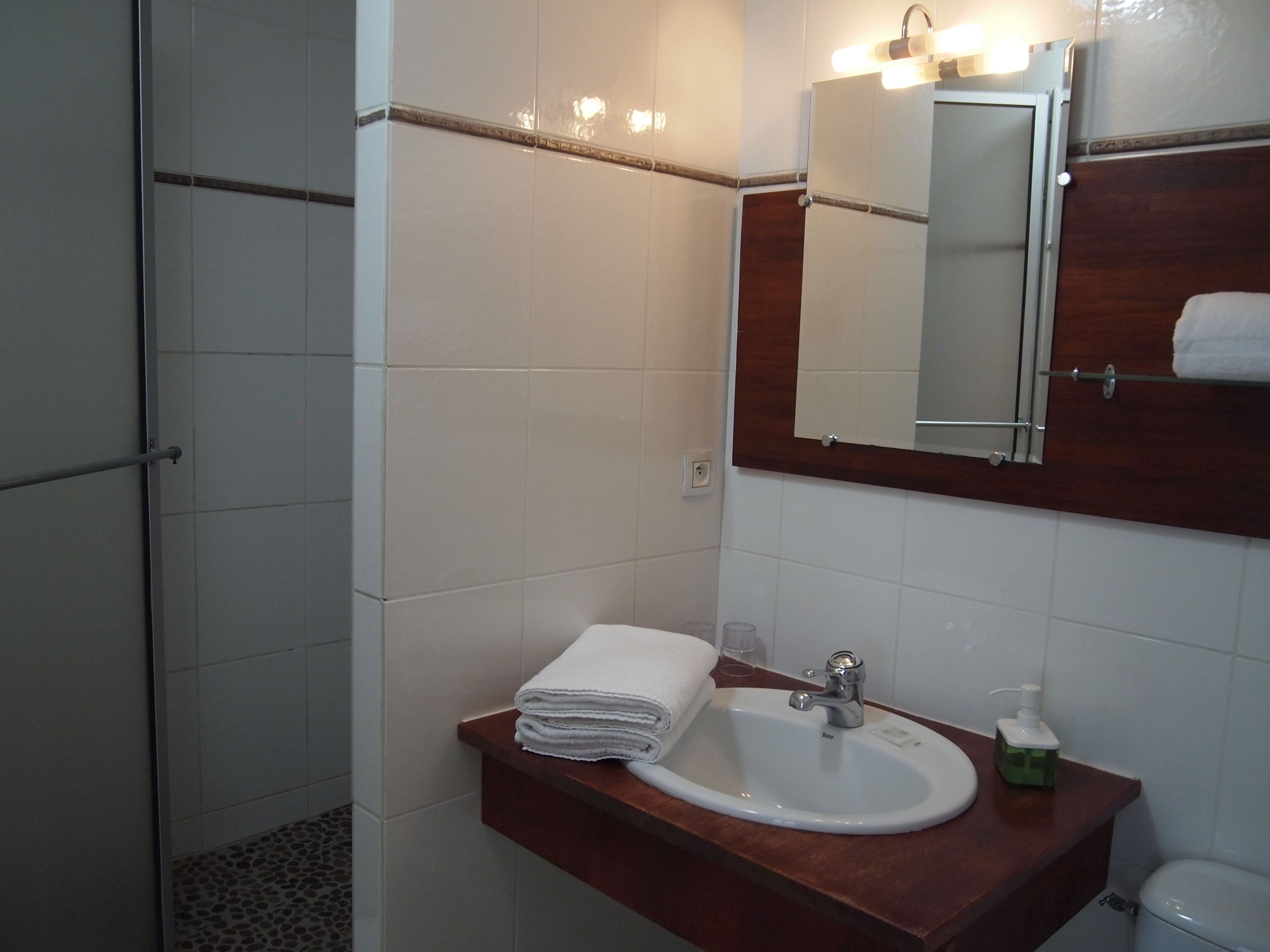 triple room | bathroom | shower, free toiletries, hair dryer, towels