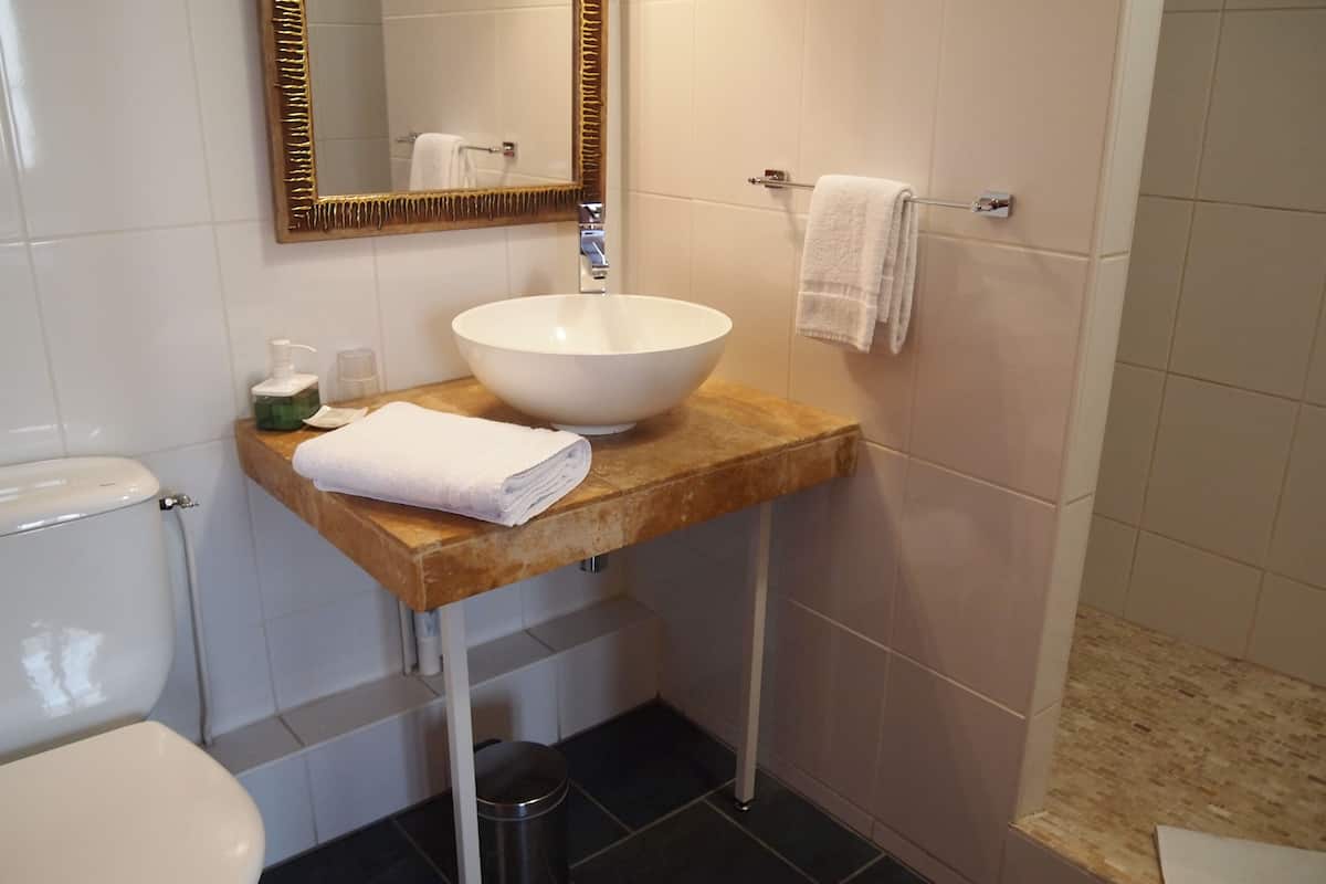 shower, free toiletries, hair dryer, towels