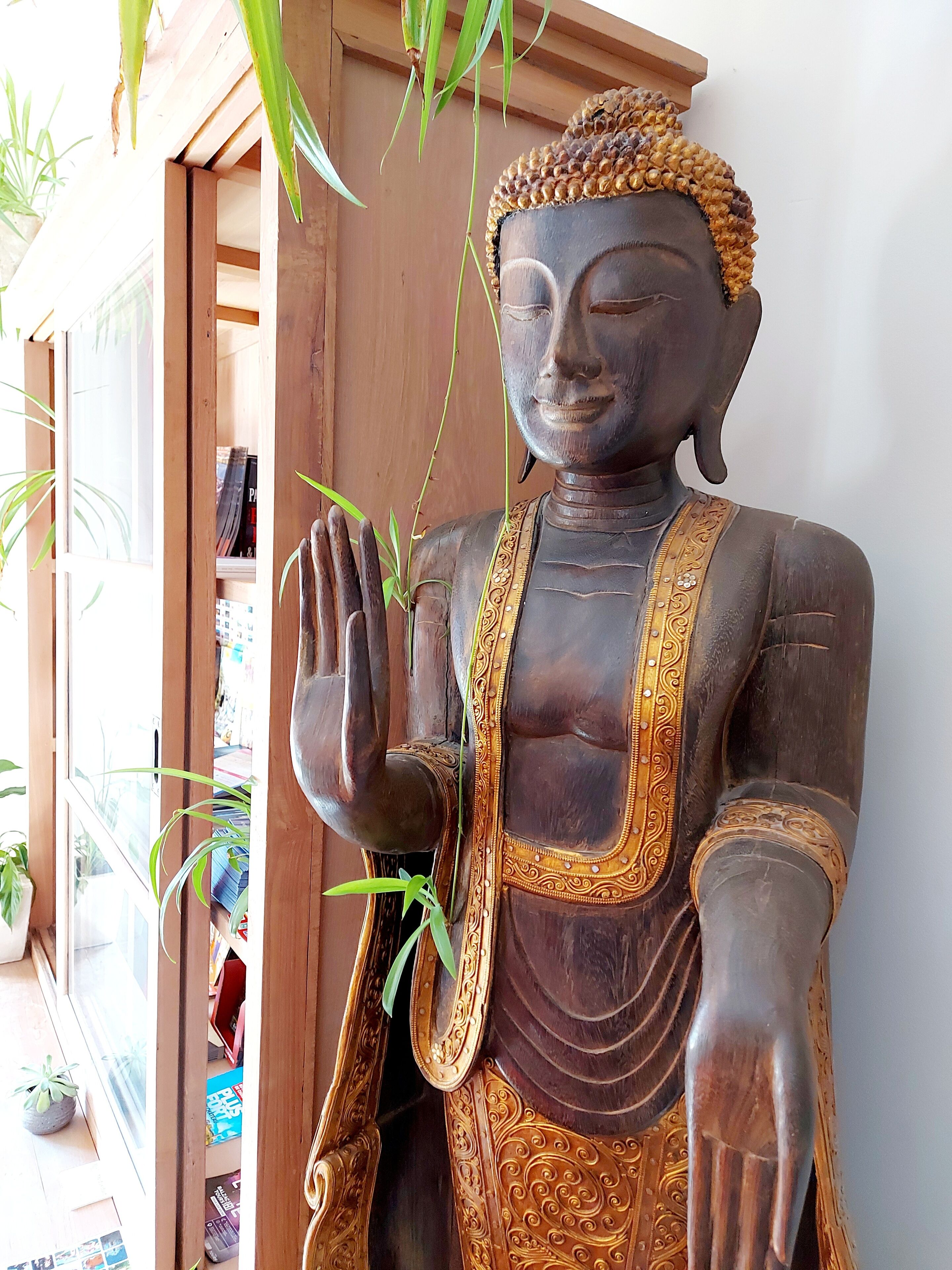 Foto - Hotel Mondial