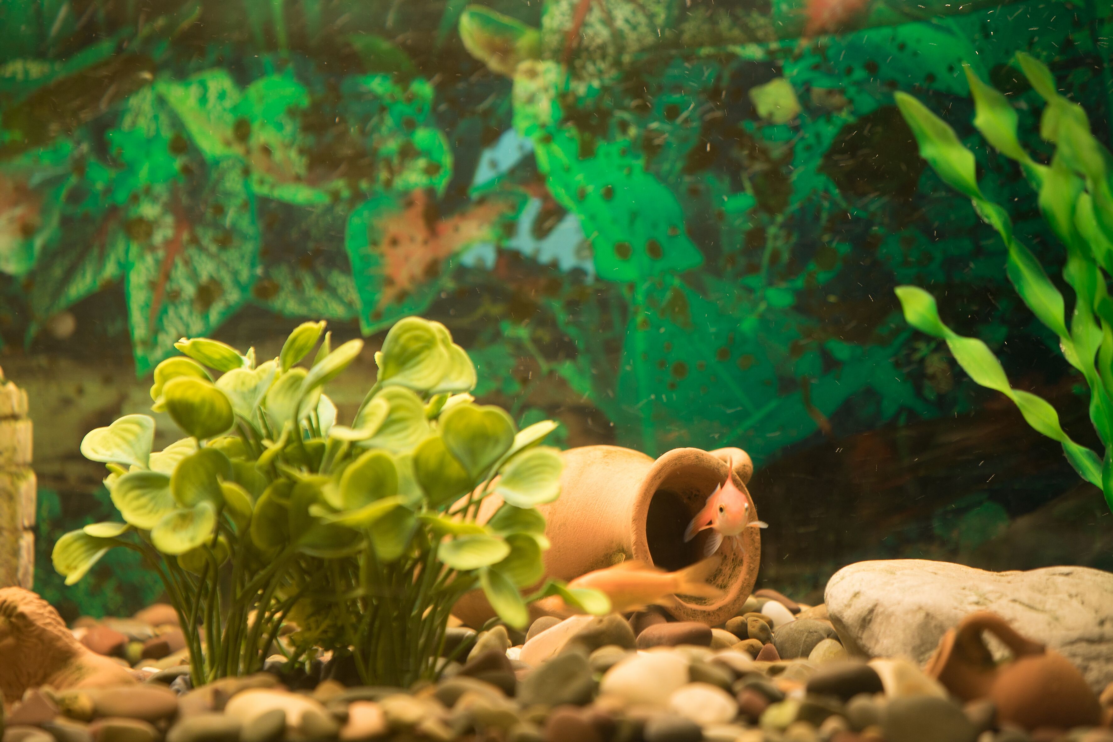 Photo - Hotel Potenza