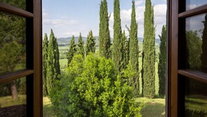 A view through a window of tall cypress trees and a green landscape. - Podere Torricella (Montespertoli)