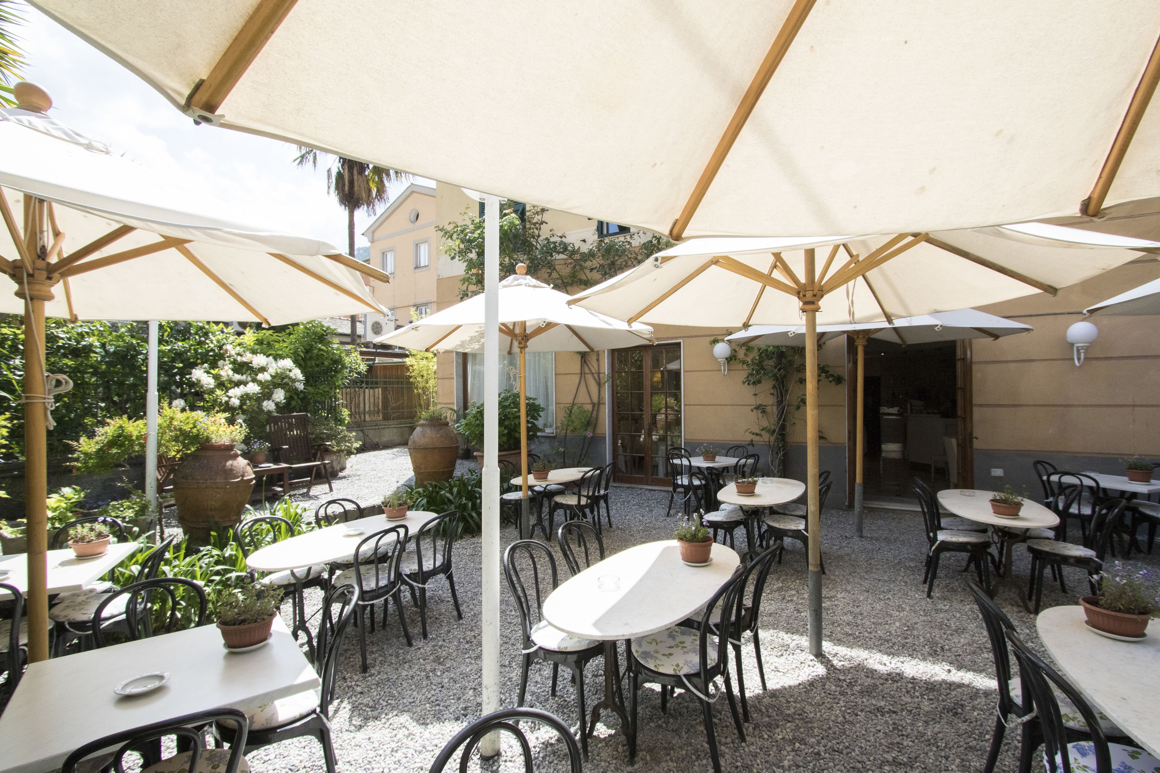 An outdoor patio with tables and chairs, shaded by large umbrellas, surrounded by potted plants and a building in the background.