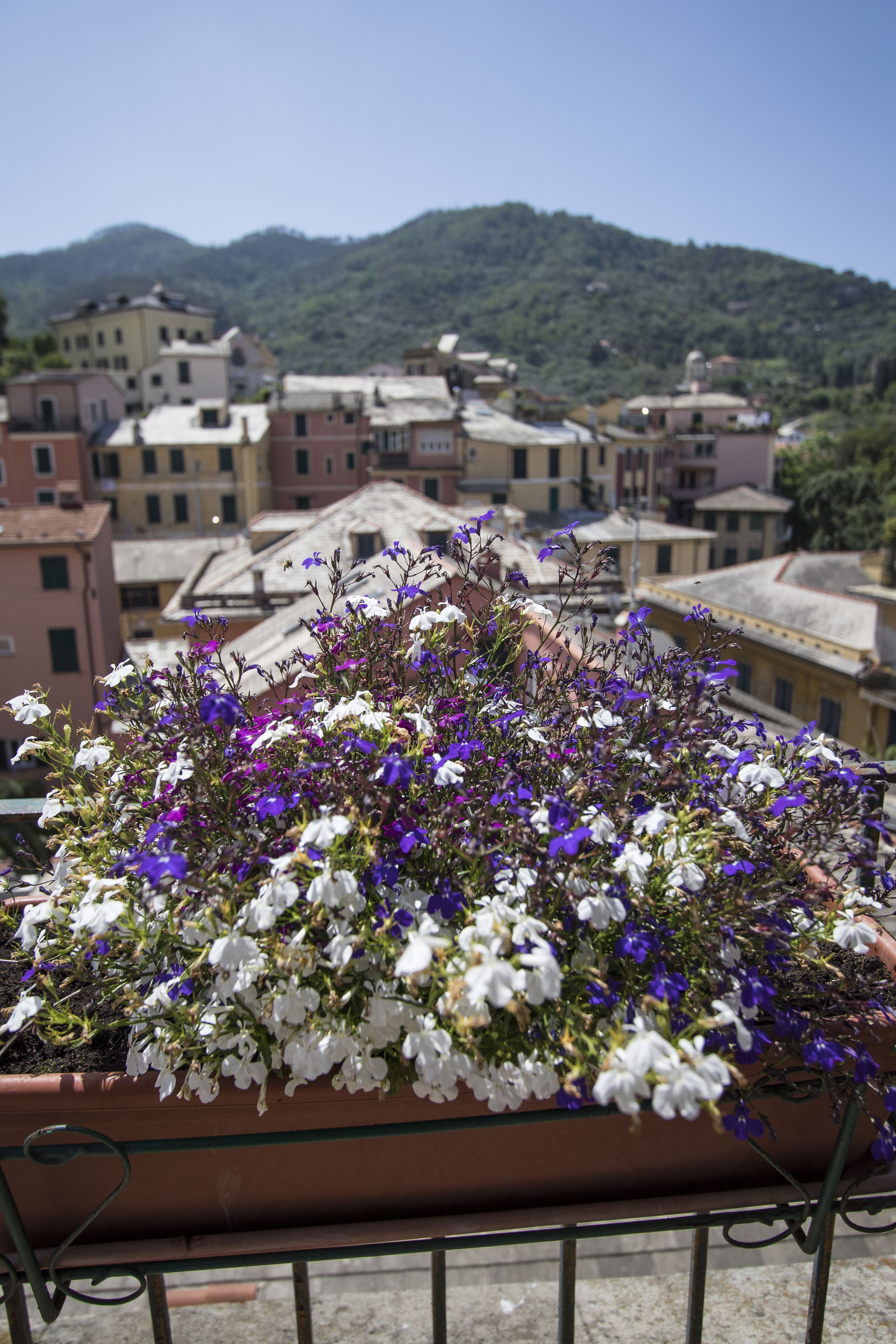 Photo - Hotel Nazionale