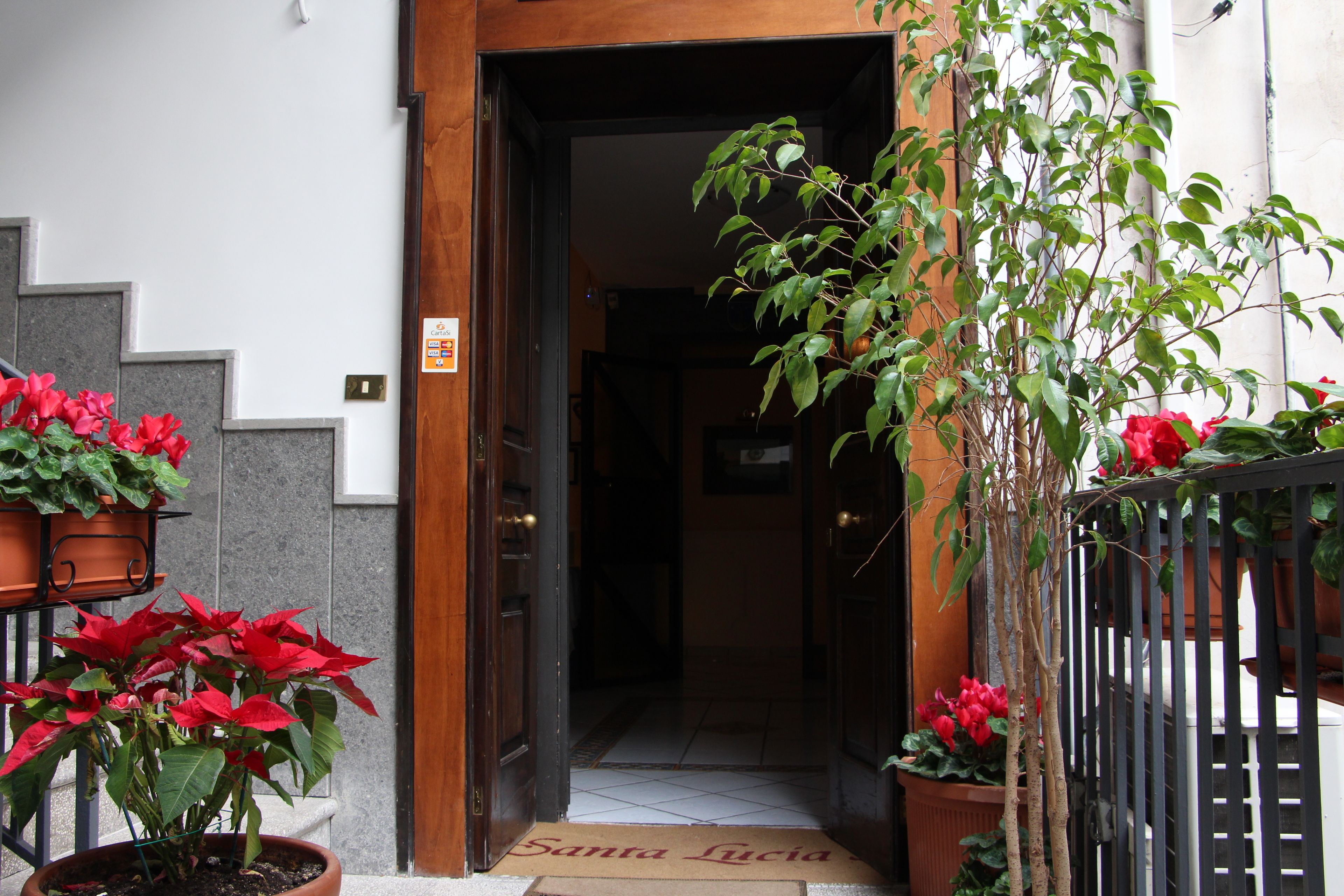 Photo - Santa Lucia 50