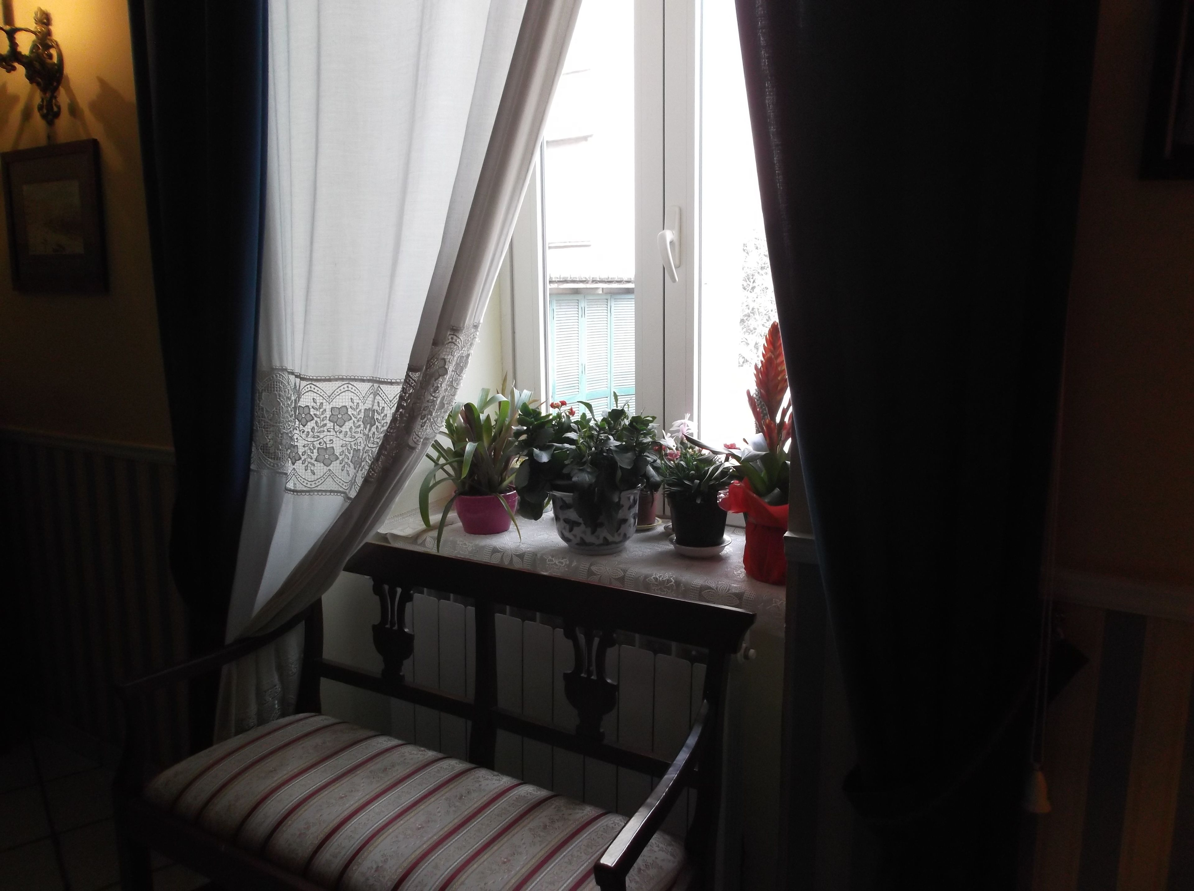 Una habitación con una ventana cubierta por cortinas translúcidas, un banco de madera y varias macetas con plantas en el alféizar.