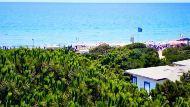 Una playa con vista despejada al océano, una bandera y algo de vegetación en primer plano.