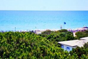 Uma praia com vista clara para o oceano, uma bandeira e vegetação ao primeiro plano.