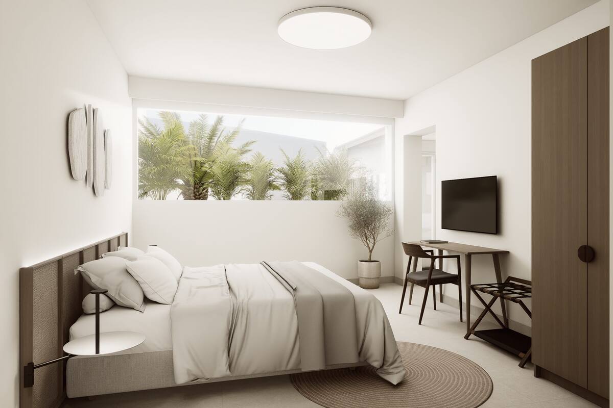 A modern bedroom with a bed, bedside table, TV, and a view of palm trees.
