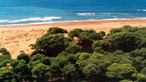A beach with dense green foliage and a sandy shore. - Kronio (Archaia Olympia)