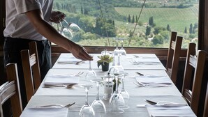 A table set for dining with a view of a vineyard. - La Cisterna (San Gimignano)