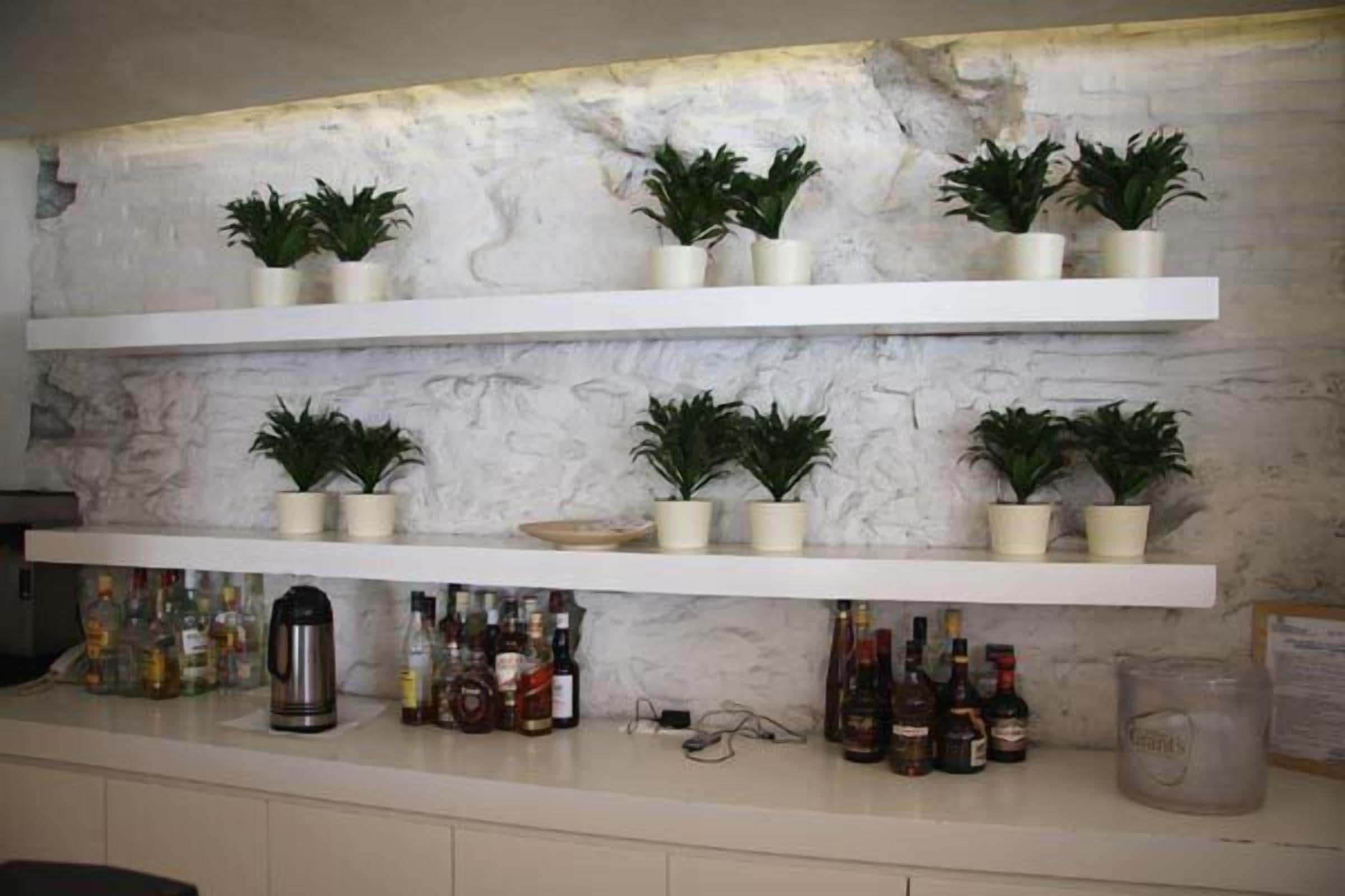 Foto - Ariston Hotel