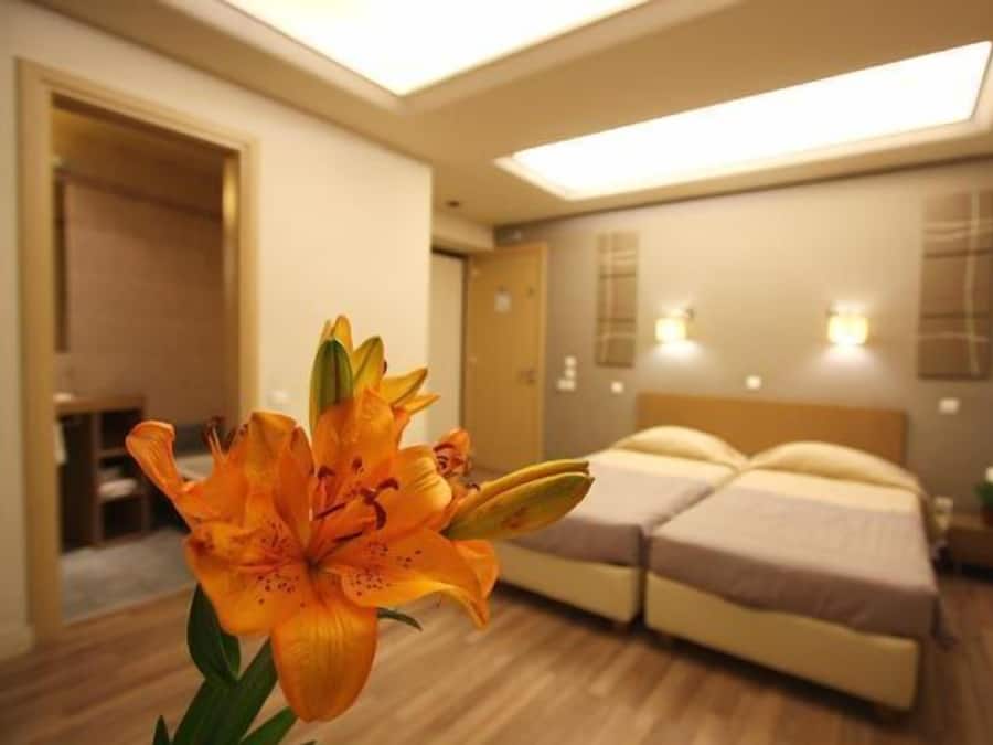 Minibar, in-room safe, individually decorated, individually furnished