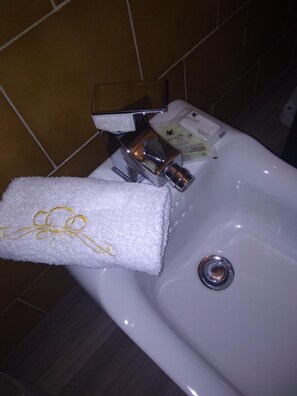 Rainfall showerhead, free toiletries, hair dryer, bidet
