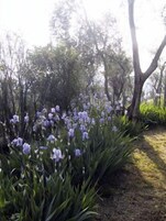 Jardín